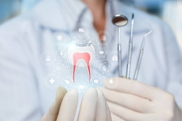Professional  Holistic Dental Services in Rochester, PA